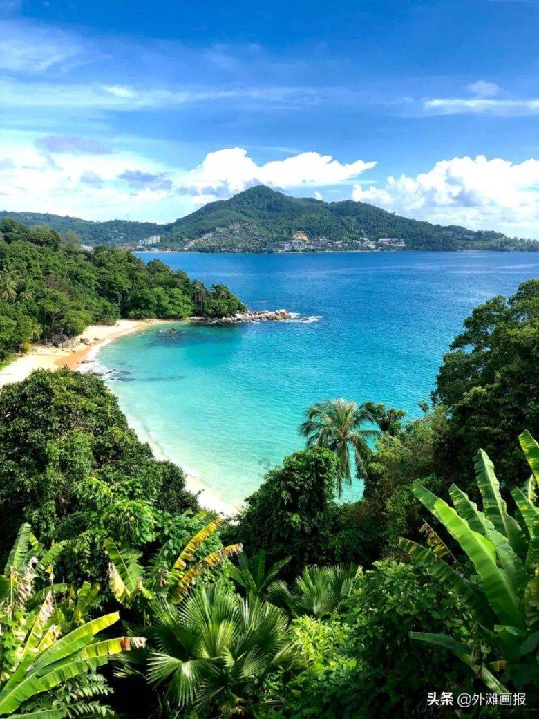 天津七里海湿地再发现一头白色麋鹿,基因有望稳定遗传